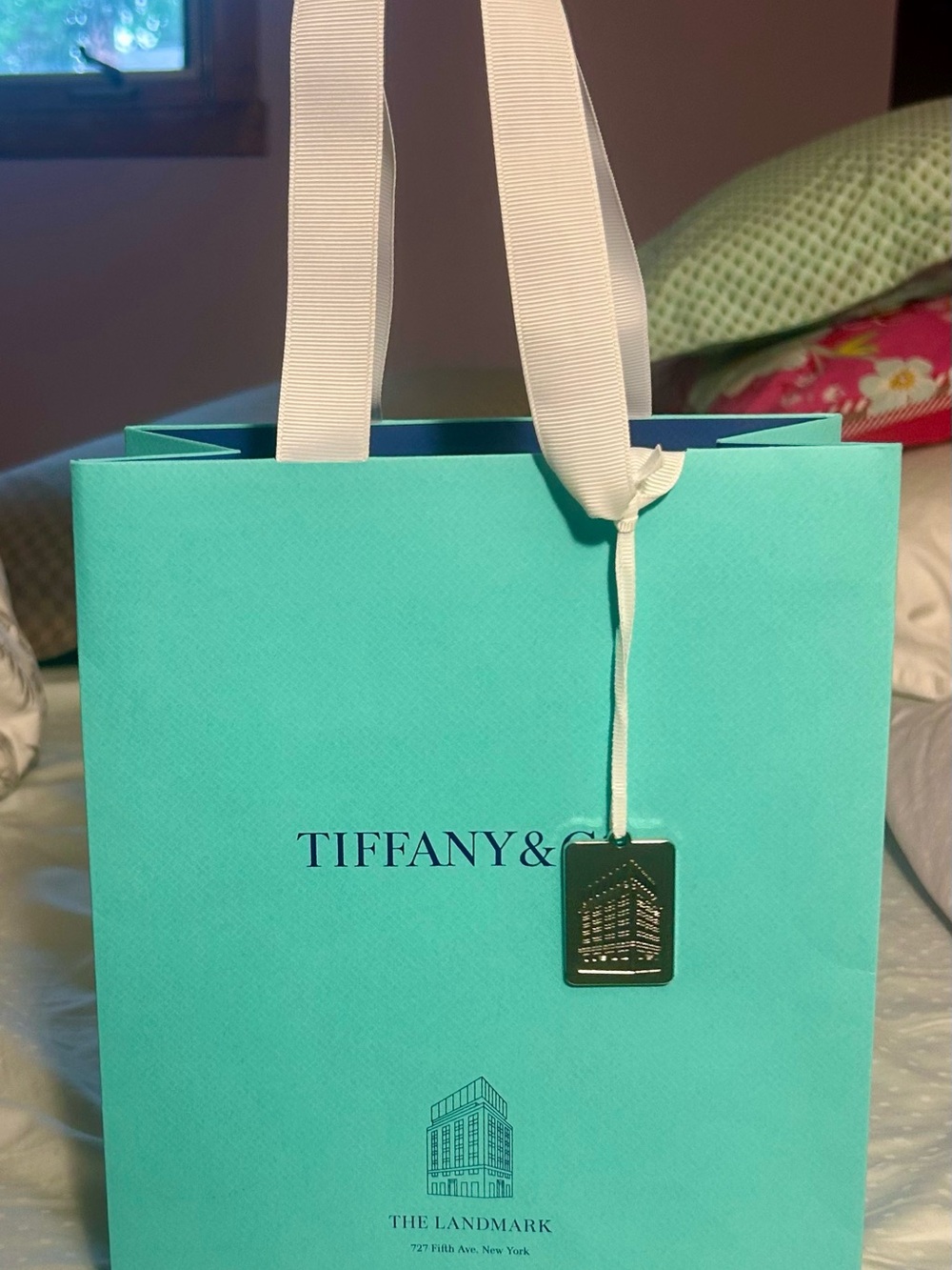 Tiffany & Co. Gift Bag with NYC Exclusive Limited Edition landmark bag charm